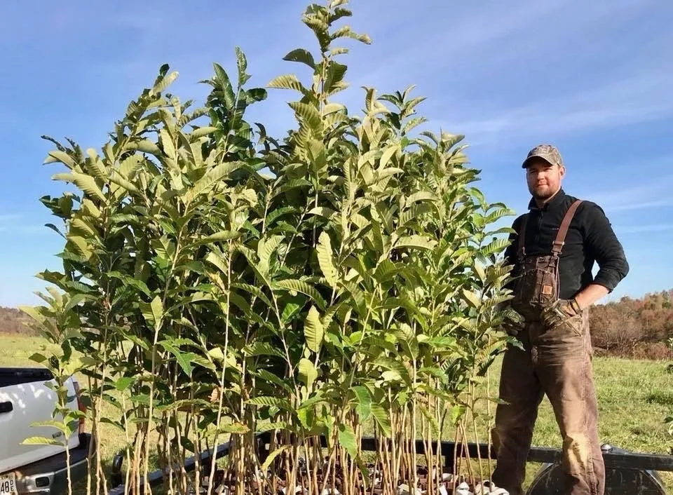 A man standing in front of many trees.